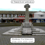 Hailsham War Memorial. (digital)